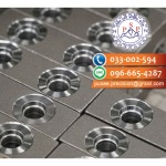 Pusee Precision Co., Ltd.