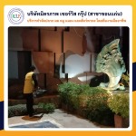 ฉีดปลวกขอนแก่น มิตรภาพ เซอร์วิส กรุ๊ป
