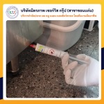ขอนแก่นกำจัดแมลงสาบ - ฉีดปลวกขอนแก่น มิตรภาพ เซอร์วิส กรุ๊ป