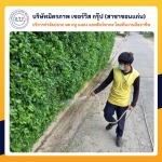 ฉีดปลวกขอนแก่น มิตรภาพ เซอร์วิส กรุ๊ป