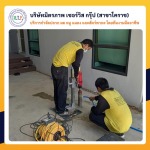กำจัดปลวกตายยกรังโคราช - กำจัดปลวกโคราช มิตรภาพ เซอร์วิส กรุ๊ป