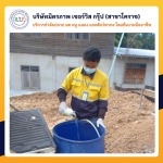 กำจัดปลวกโคราช มิตรภาพ เซอร์วิส กรุ๊ป