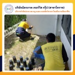 กำจัดปลวกโคราช มิตรภาพ เซอร์วิส กรุ๊ป