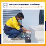 กำจัดปลวกโคราช มิตรภาพ เซอร์วิส กรุ๊ป