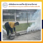 กำจัดปลวกโคราช มิตรภาพ เซอร์วิส กรุ๊ป