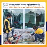 ฉีดปลวกชลบุรี มิตรภาพ เซอร์วิส กรุ๊ป