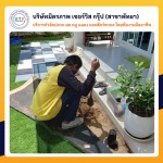 ฉีดปลวกชลบุรี มิตรภาพ เซอร์วิส กรุ๊ป