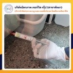 ฉีดปลวกชลบุรี มิตรภาพ เซอร์วิส กรุ๊ป