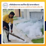 บริการฉีดพ่นกำจัดยุงพัทยา - ฉีดปลวกชลบุรี มิตรภาพ เซอร์วิส กรุ๊ป