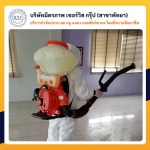 ฉีดปลวกชลบุรี มิตรภาพ เซอร์วิส กรุ๊ป