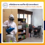 ฉีดปลวกชลบุรี มิตรภาพ เซอร์วิส กรุ๊ป