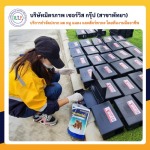 ฉีดปลวกชลบุรี มิตรภาพ เซอร์วิส กรุ๊ป