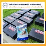 กำจัดปลวกอุดร มิตรภาพ เซอร์วิส กรุ๊ป