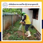รับกำจัดมดอุดรธานี - กำจัดปลวกอุดร มิตรภาพ เซอร์วิส กรุ๊ป