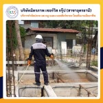 รับกำจัดปลวกอุดรธานี - กำจัดปลวกอุดร มิตรภาพ เซอร์วิส กรุ๊ป