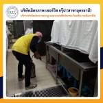 รับกำจัดแมลงสาบอุดร - กำจัดปลวกอุดร มิตรภาพ เซอร์วิส กรุ๊ป