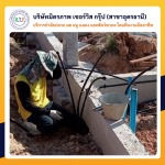 กำจัดปลวกอุดร มิตรภาพ เซอร์วิส กรุ๊ป