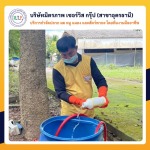กำจัดปลวกอุดรธานีราคาถูก - กำจัดปลวกอุดร มิตรภาพ เซอร์วิส กรุ๊ป