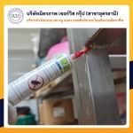 กำจัดแมลงสาบอุดรธานี - กำจัดปลวกอุดร มิตรภาพ เซอร์วิส กรุ๊ป