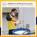 กำจัดปลวกกรุงเทพ มิตรภาพ เซอร์วิส กรุ๊ป