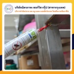 กำจัดปลวกกรุงเทพ มิตรภาพ เซอร์วิส กรุ๊ป