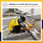 กำจัดปลวกกรุงเทพ มิตรภาพ เซอร์วิส กรุ๊ป