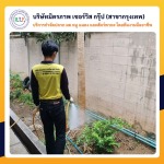 กำจัดปลวกกรุงเทพ มิตรภาพ เซอร์วิส กรุ๊ป