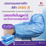 Firstglove International