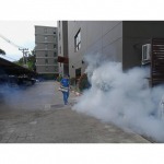  บริษัทรับกำจัดยุงเชียงใหม่ - บริษัท กำจัดปลวก ซัคเซซ เซอร์วิส เชียงใหม่