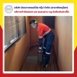 กำจัดปลวกพิษณุโลก มิตรภาพ เซอร์วิส กรุ๊ป