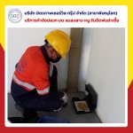 บริษัทกำจัดหนู สัตว์รบกวน - กำจัดปลวกพิษณุโลก มิตรภาพ เซอร์วิส กรุ๊ป