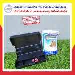 กำจัดปลวกพิษณุโลก มิตรภาพ เซอร์วิส กรุ๊ป