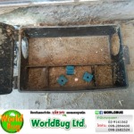 WorldBug Limited Partnership