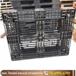  Sales of pallets, Chonburi - Tiger Onway
