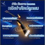 ผลิตภัณฑ์อาหารเสริมปลูกผม แก้ปัญหาผมร่วง
