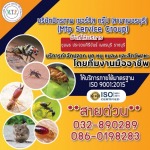 บริษัทกำจัดปลวกเพชรบุรี มิตรภาพ เซอร์วิส กรุ๊ป