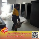 บริษัทกำจัดปลวกเพชรบุรี มิตรภาพ เซอร์วิส กรุ๊ป