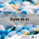 รับจด อย. - fightingfly 2