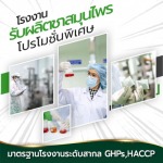 โรงงานรับผลิตชาสมุนไพร-กอเงินออร์แกนิคฟาร์ม