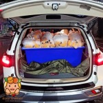 อเดลน้ำส้มคั้นสด นนทบุรี