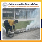 รับฉีดยุง กำจัดยุง เชียงใหม่ - ฉีดปลวกเชียงใหม่ มิตรภาพเซอร์วิส กรุ๊ป
