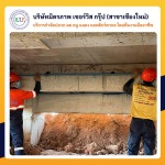ฉีดปลวกเชียงใหม่ มิตรภาพเซอร์วิส กรุ๊ป