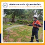 ฉีดปลวกเชียงใหม่ มิตรภาพเซอร์วิส กรุ๊ป