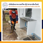 บริษัทกำจัดปลวกใกล้ฉันเชียงใหม่ - ฉีดปลวกเชียงใหม่ มิตรภาพเซอร์วิส กรุ๊ป