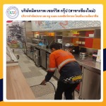 ฉีดปลวกเชียงใหม่ มิตรภาพเซอร์วิส กรุ๊ป