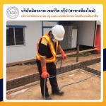 ฉีดปลวกเชียงใหม่ มิตรภาพเซอร์วิส กรุ๊ป