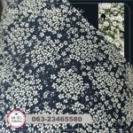 Phut Phak Phat Co., Ltd.