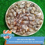 Chonburi Mahachai Seafood Co., Ltd.