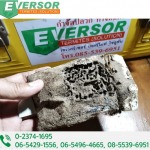 EVERSOR Termites (Solution) Co.,Ltd. 
