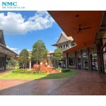 NMC Conland